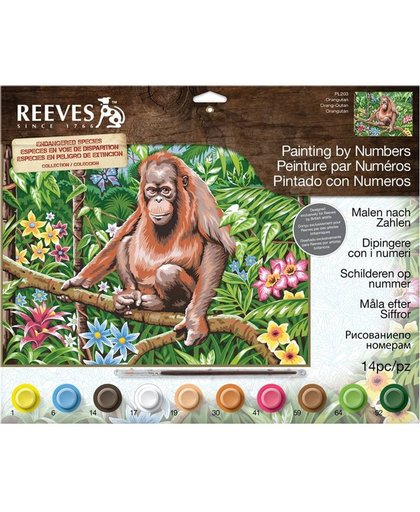 Reeves Schilderen nummer pl131 oranguta