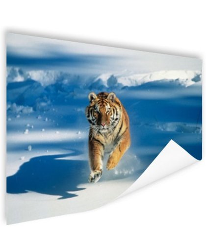 FotoCadeau.nl - Siberische tijger in de aanval Poster 90x60 cm - Foto print op Poster (wanddecoratie)