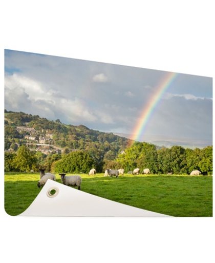 FotoCadeau.nl - Schapen onder levendige regenboog Tuinposter 120x80 cm - Foto op Tuinposter (tuin decoratie)