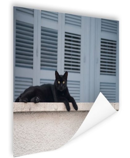 FotoCadeau.nl - Zwarte kat aan het rusten Poster 120x80 cm - Foto print op Poster (wanddecoratie)