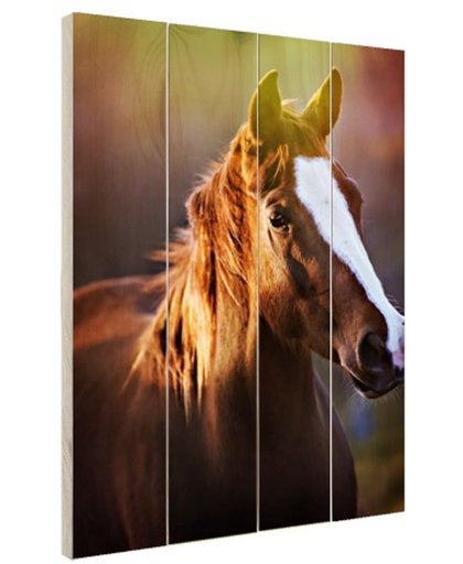 Portret van paard afdruk Hout 120x160 cm - Foto print op Hout (Wanddecoratie)