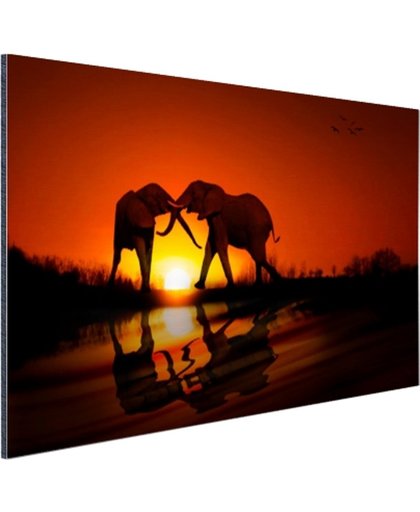 Olifanten koppel bij zonsondergang Aluminium 180x120 cm - Foto print op Aluminium (metaal wanddecoratie)