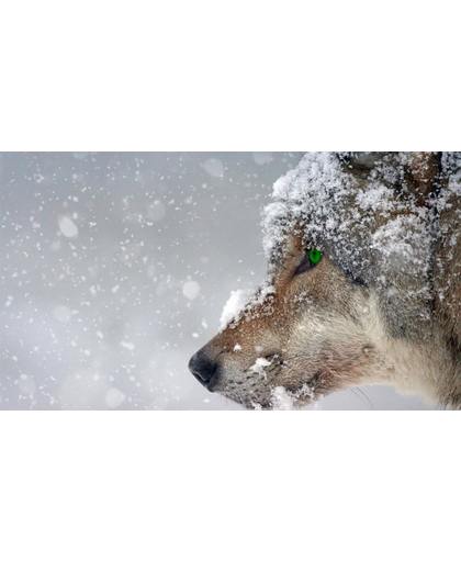 Diamond Painting Wolf in de sneeuw - Volledig - Full - 50x30 cm - SEOS Shop ®