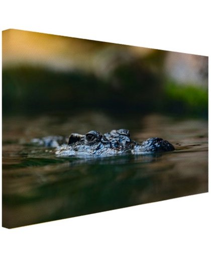 Krokodil aan de oppervlakte Canvas 180x120 cm - Foto print op Canvas schilderij (Wanddecoratie)