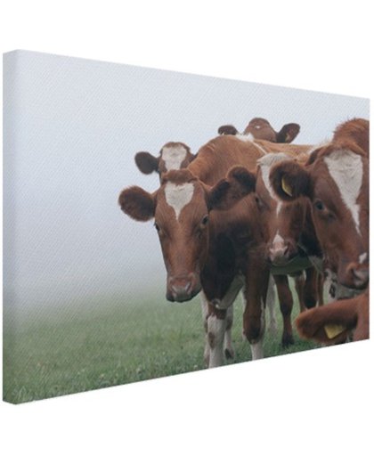 Groep nieuwsgierige koeien Canvas 180x120 cm - Foto print op Canvas schilderij (Wanddecoratie)