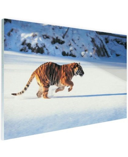 FotoCadeau.nl - Siberische tijger op jacht Glas 30x20 cm - Foto print op Glas (Plexiglas wanddecoratie)