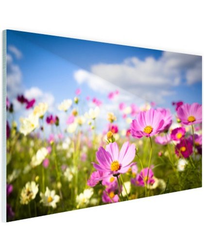 FotoCadeau.nl - Bloemen in volle bloei Glas 120x80 cm - Foto print op Glas (Plexiglas wanddecoratie)