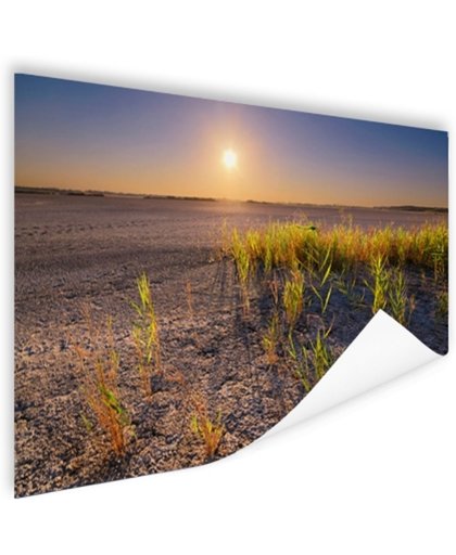FotoCadeau.nl - Droge woestijn met plantjes  Poster 180x120 cm - Foto print op Poster (wanddecoratie)