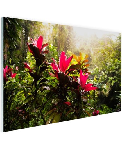 FotoCadeau.nl - Prachtige bloemen middenin de jungle Glas 30x20 cm - Foto print op Glas (Plexiglas wanddecoratie)