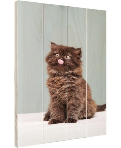 Perzisch katje steekt tong uit Hout 120x160 cm - Foto print op Hout (Wanddecoratie)