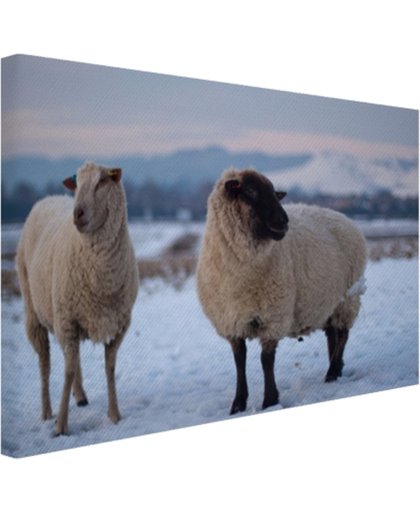 FotoCadeau.nl - Twee schapen ​​in de sneeuw Canvas 30x20 cm - Foto print op Canvas schilderij (Wanddecoratie)