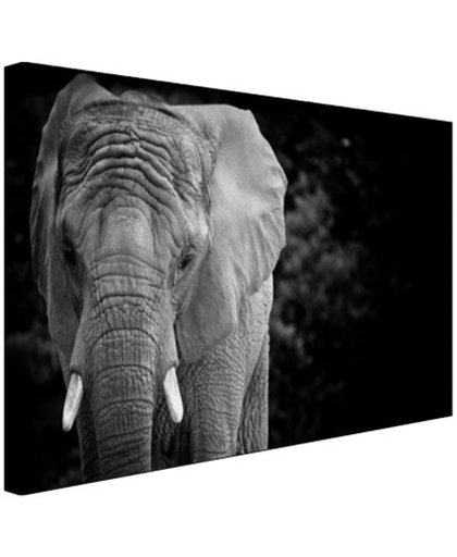 Olifant zwart-wit Canvas 180x120 cm - Foto print op Canvas schilderij (Wanddecoratie)