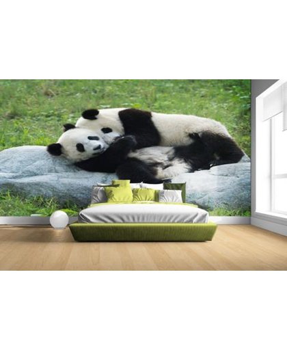 FotoCadeau.nl - Twee grote pandas op een steen Fotobehang 380x265