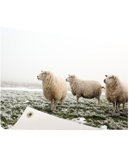 FotoCadeau.nl - Drie schapen in de winter Tuinposter 200x100 cm - Foto op Tuinposter (tuin decoratie)
