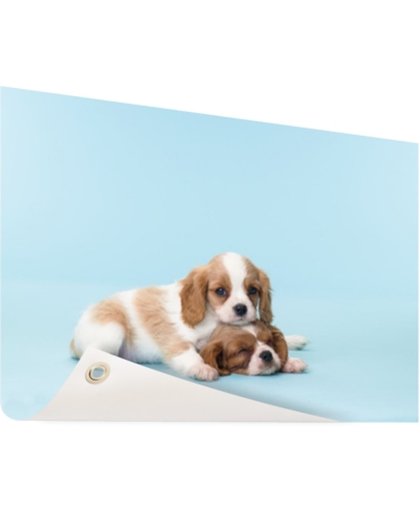 FotoCadeau.nl - Twee slaperige pups Tuinposter 200x100 cm - Foto op Tuinposter (tuin decoratie)