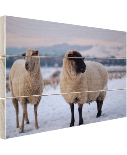 FotoCadeau.nl - Twee schapen ​​in de sneeuw Hout 30x20 cm - Foto print op Hout (Wanddecoratie)