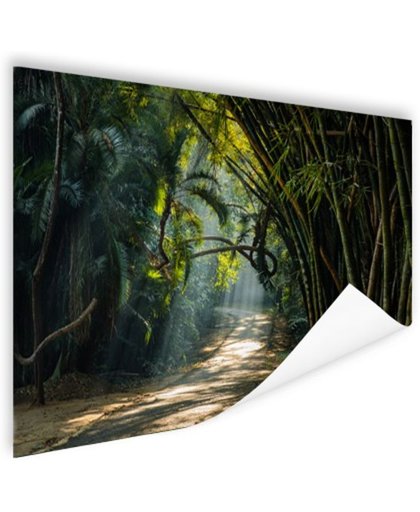FotoCadeau.nl - Rijen bamboe in Azie Poster 90x60 cm - Foto print op Poster (wanddecoratie)