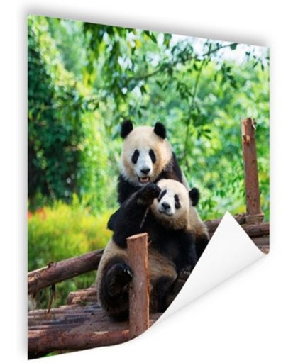 FotoCadeau.nl - Spelende pandas Poster 75x75 cm - Foto print op Poster (wanddecoratie)