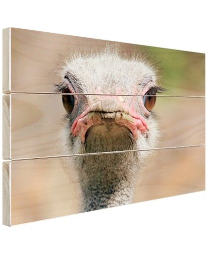 FotoCadeau.nl - Struisvogel Portret van voren Hout 80x60 cm - Foto print op Hout (Wanddecoratie)