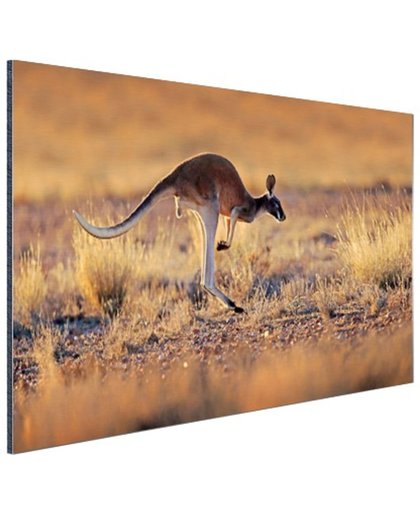 Springende kangoeroe warme gloed Aluminium 180x120 cm - Foto print op Aluminium (metaal wanddecoratie)