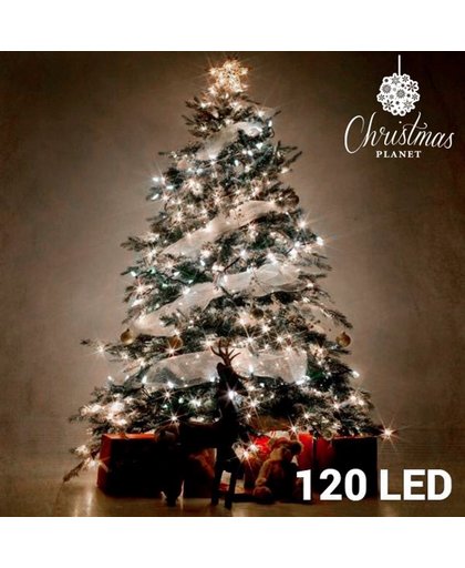 Witte Kerstlampjes (120 Leds)