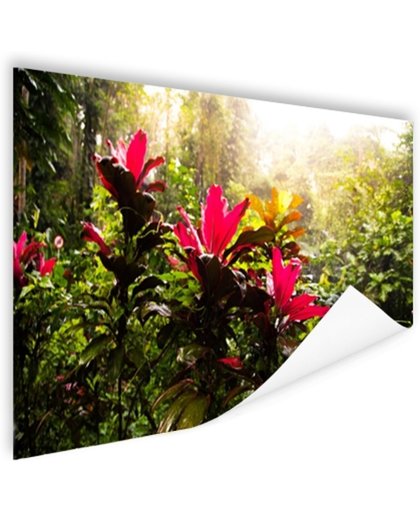 FotoCadeau.nl - Prachtige bloemen middenin de jungle Poster 90x60 cm - Foto print op Poster (wanddecoratie)