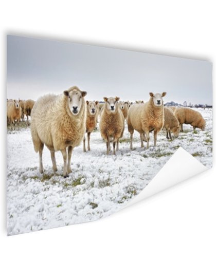 FotoCadeau.nl - Schapen in een winterlandschap Poster 90x60 cm - Foto print op Poster (wanddecoratie)