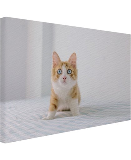 FotoCadeau.nl - Schattige kitten Canvas 80x60 cm - Foto print op Canvas schilderij (Wanddecoratie)