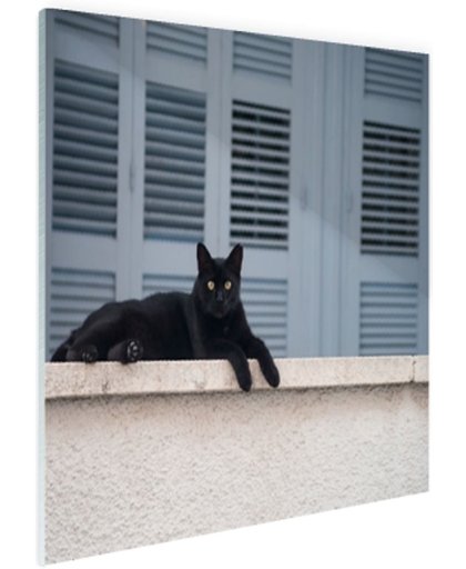 Zwarte kat aan het rusten Glas 180x120 cm - Foto print op Glas (Plexiglas wanddecoratie)
