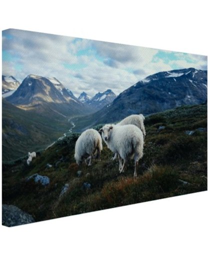 FotoCadeau.nl - Familie portret schapen Canvas 80x60 cm - Foto print op Canvas schilderij (Wanddecoratie)