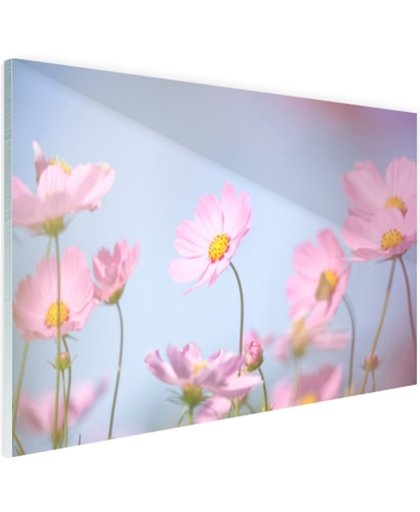 Prachtige lichtroze bloemen Glas 180x120 cm - Foto print op Glas (Plexiglas wanddecoratie)