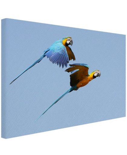 Ara's tijdens de vlucht Canvas 180x120 cm - Foto print op Canvas schilderij (Wanddecoratie)