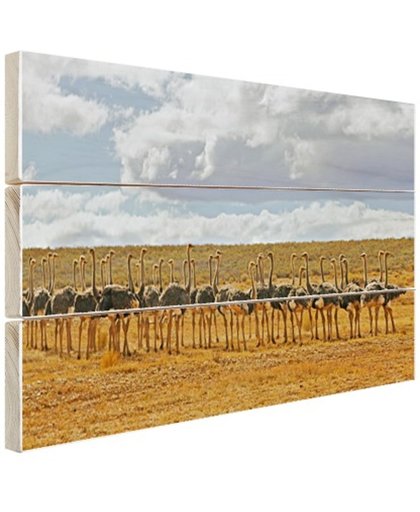 FotoCadeau.nl - Kudde struisvogels fotoafdruk Hout 120x80 cm - Foto print op Hout (Wanddecoratie)