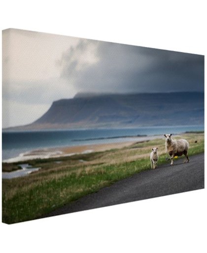 FotoCadeau.nl - IJslandse schapen Canvas 80x60 cm - Foto print op Canvas schilderij (Wanddecoratie)