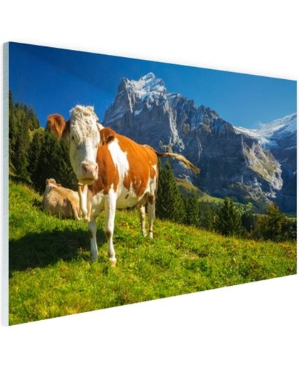 Zwitserse Koeien Glas 180x120 cm - Foto print op Glas (Plexiglas wanddecoratie)