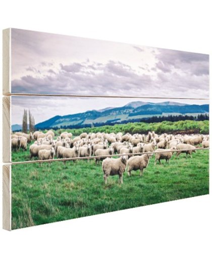 FotoCadeau.nl - Kudde schapen  Hout 60x40 cm - Foto print op Hout (Wanddecoratie)