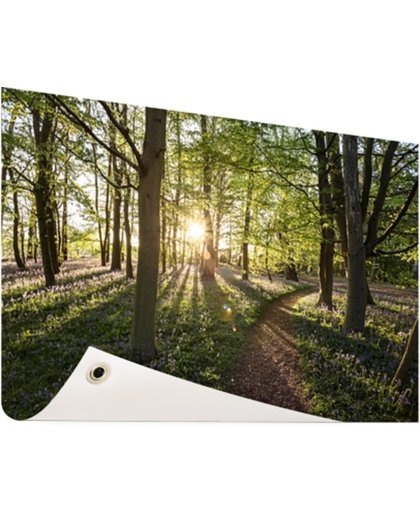 FotoCadeau.nl - Een bospad op een zonnige dag Tuinposter 120x80 cm - Foto op Tuinposter (tuin decoratie)