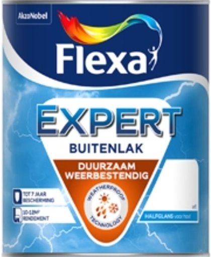 FLEXA EXPERT BUITENLAK DEKKEND RAL 7021 750ML