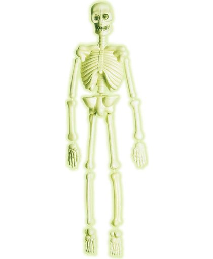 Fosforescerend skelet decoratie Halloween  - Feestdecoratievoorwerp - One size