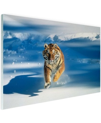 FotoCadeau.nl - Siberische tijger in de aanval Glas 60x40 cm - Foto print op Glas (Plexiglas wanddecoratie)