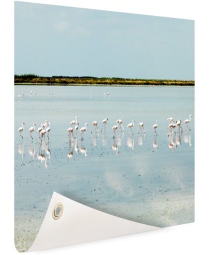FotoCadeau.nl - Moderne foto met flamingos Tuinposter 50x50 cm - Foto op Tuinposter (tuin decoratie)