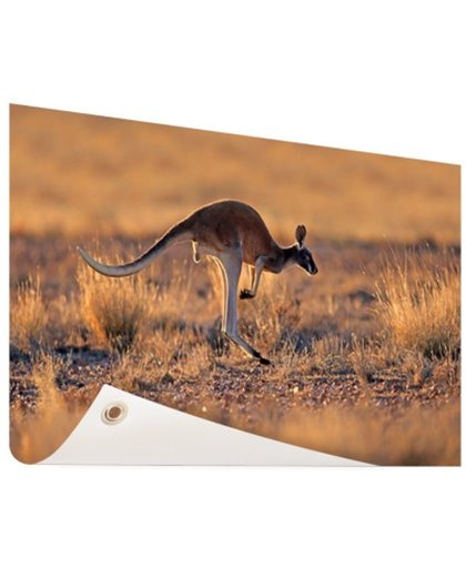 FotoCadeau.nl - Springende kangoeroe warme gloed Tuinposter 120x80 cm - Foto op Tuinposter (tuin decoratie)