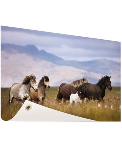 FotoCadeau.nl - Paarden in de bergen Tuinposter 120x80 cm - Foto op Tuinposter (tuin decoratie)