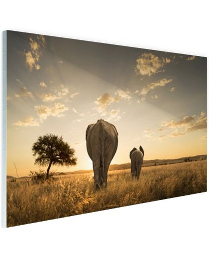 FotoCadeau.nl - Olifant en kalf savanne Glas 90x60 cm - Foto print op Glas (Plexiglas wanddecoratie)
