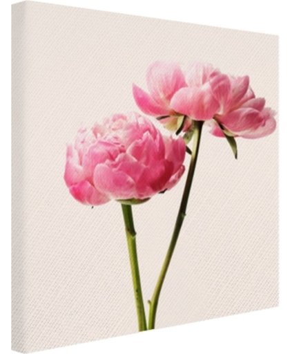 Roze Bloesem Canvas 180x120 cm - Foto print op Canvas schilderij (Wanddecoratie)