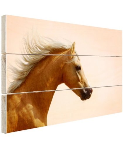 FotoCadeau.nl - Welsh pony foto afdruk Hout 120x80 cm - Foto print op Hout (Wanddecoratie)