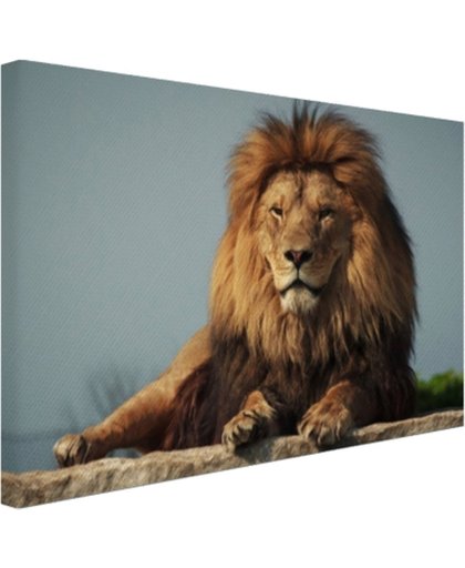 Rustende leeuw op een rotsblok Canvas 180x120 cm - Foto print op Canvas schilderij (Wanddecoratie)