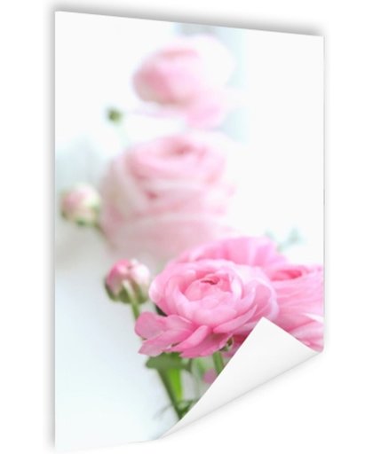 FotoCadeau.nl - Close-up van roze rozen Poster 75x150 cm - Foto print op Poster (wanddecoratie)