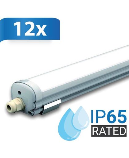 Multipack 12 stuks IP65 LED armaturen 120 cm 36W 2880lm 4000K neutraal wit [incl. lichtbron]