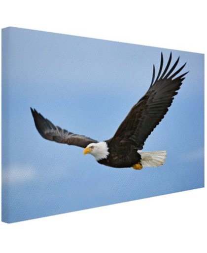 Adelaar tijdens vlucht foto Canvas 180x120 cm - Foto print op Canvas schilderij (Wanddecoratie)